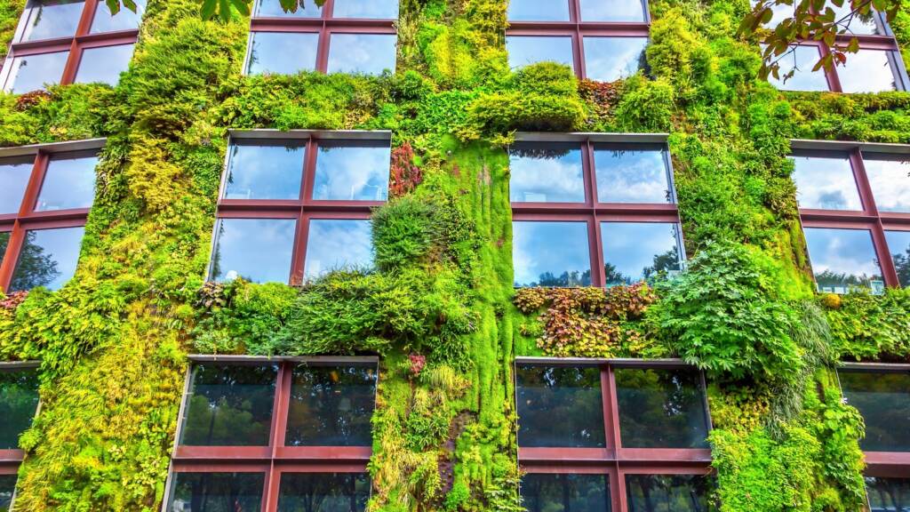 Pflanzen als grüne Fassade an einer Häuserwand